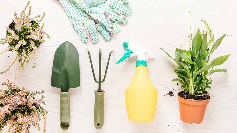 Plant Care Kit (Mindfulness Gifts)
