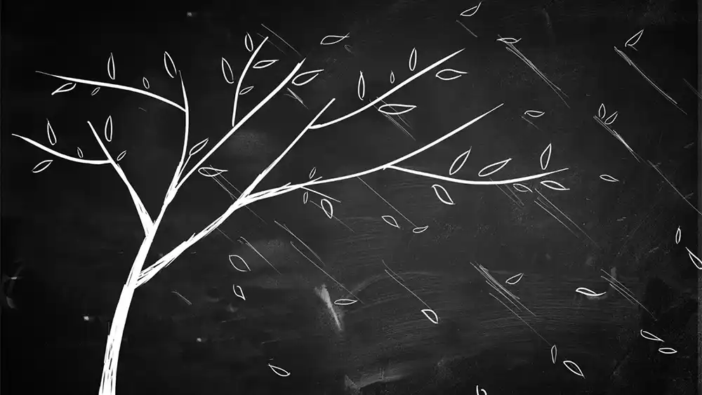 Gratitude Tree on a Chalkboard