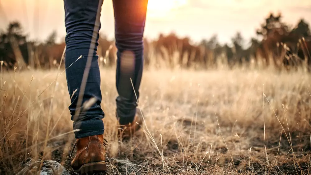 Gratitude Walk